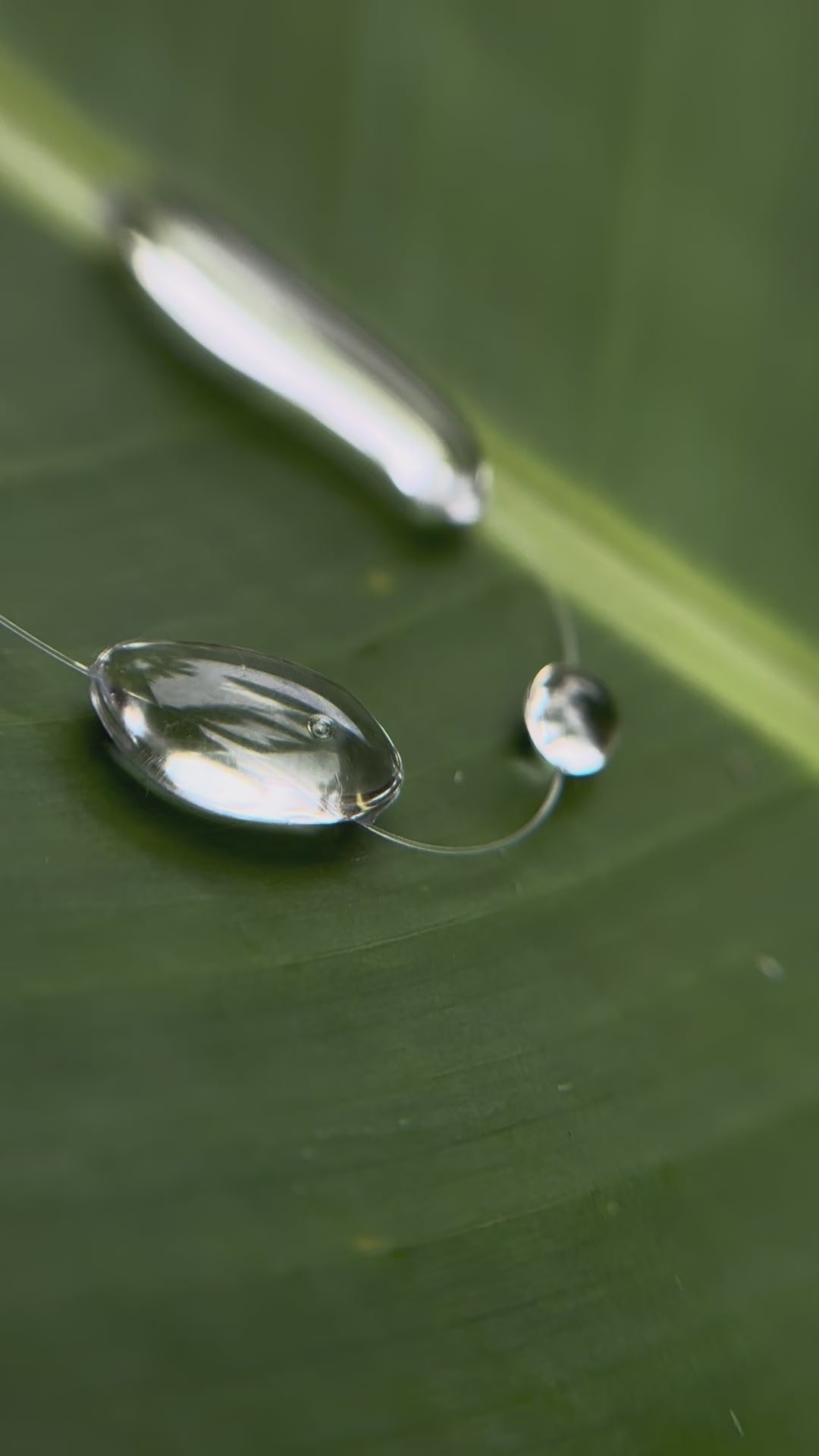 Dew Necklace, Handmade Jewelry "Liquid Choker"